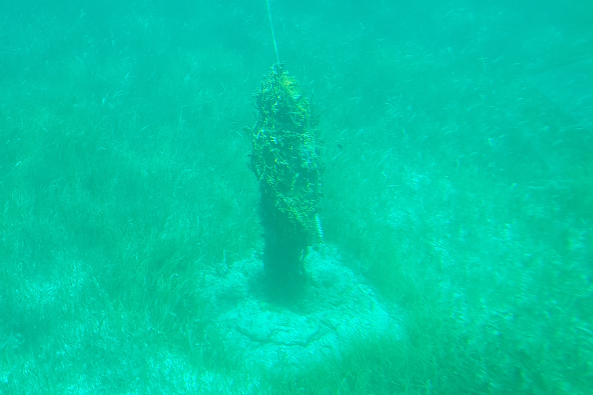 Underwater Item Retrieval - Image 2